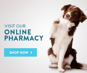 shopnowdog-online-pharmacy