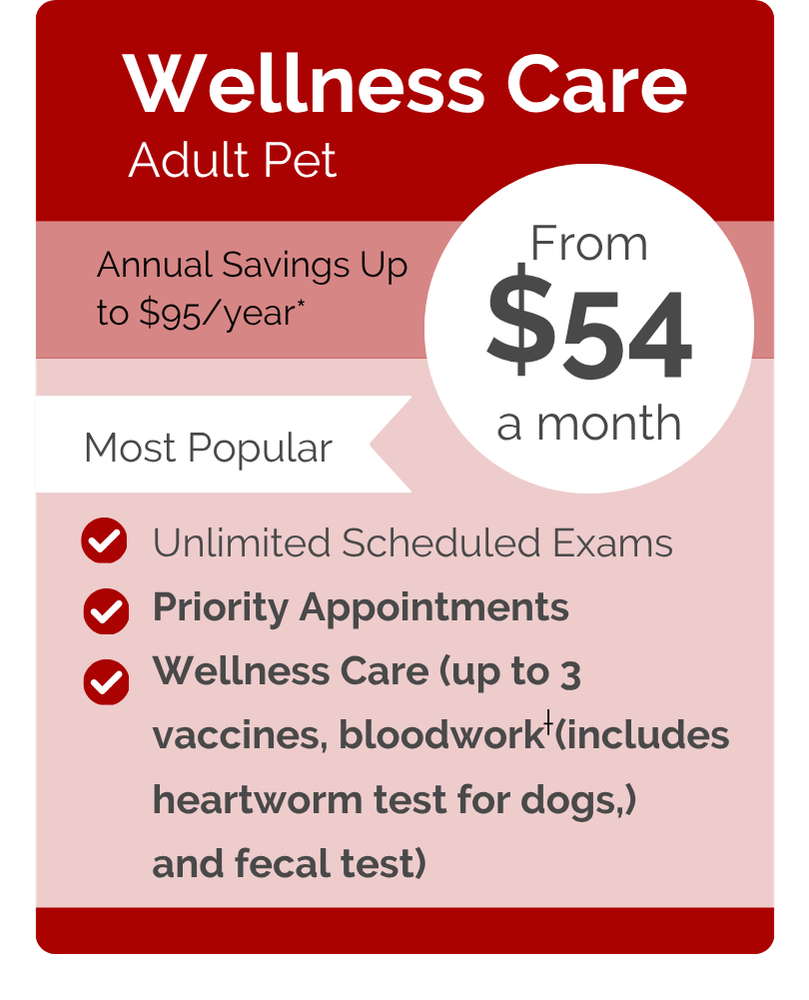 Heartland VIPet Plan_pricing_Wellness_Modern